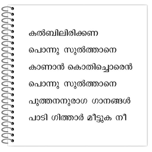 Picture of the product