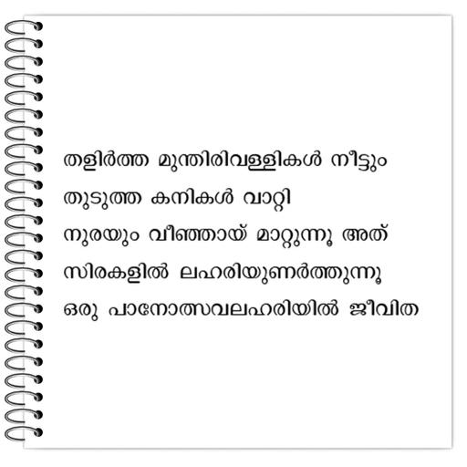 Picture of the product