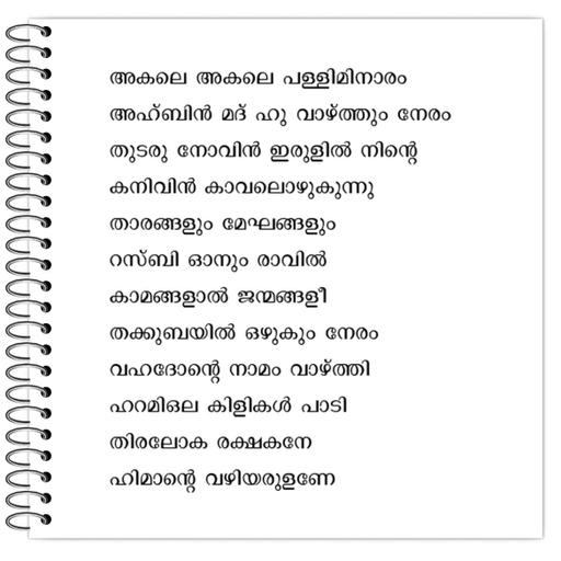 Picture of the product