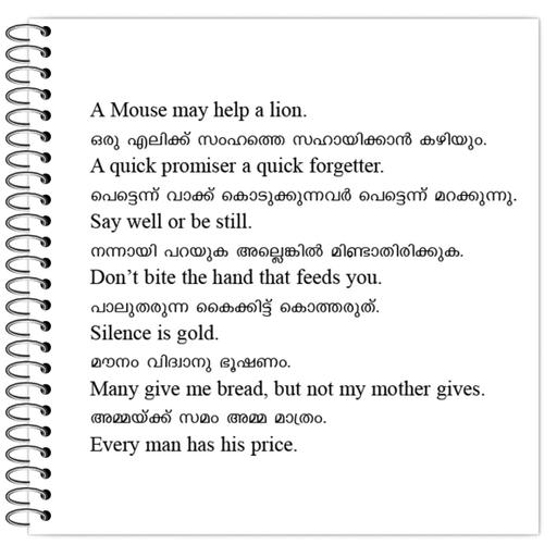 Picture of the product