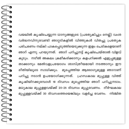 Picture of the product