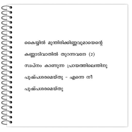 Picture of the product