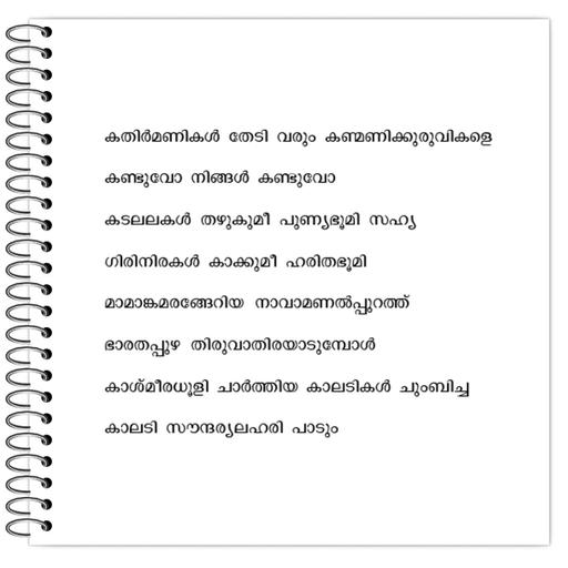 Picture of the product