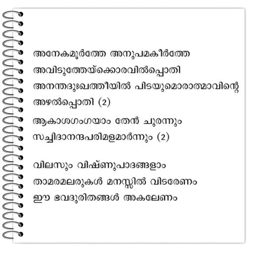 Picture of the product