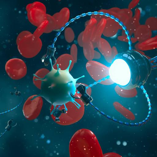 Picture of the product