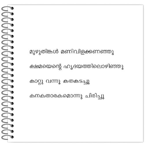 Picture of the product