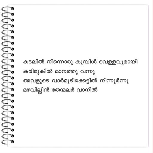 Picture of the product