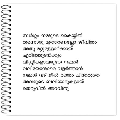 Picture of the product