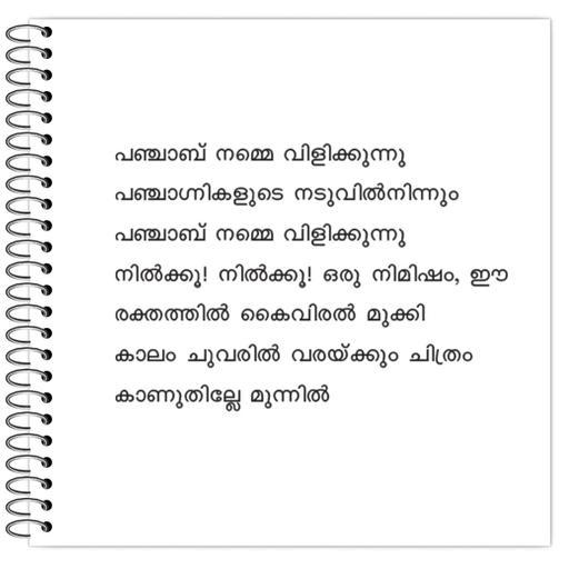 Picture of the product