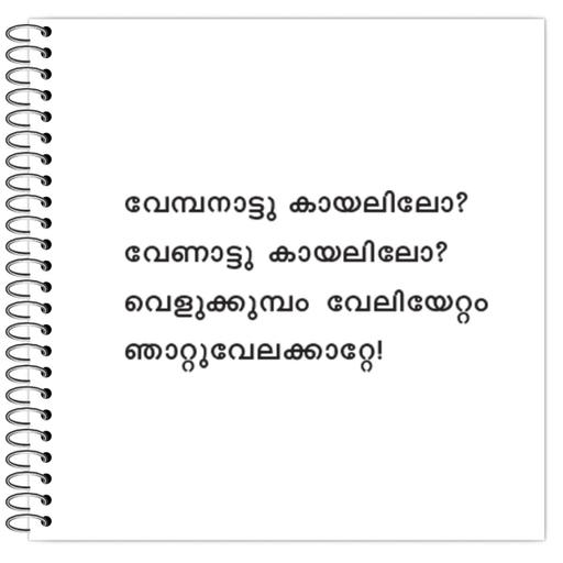 Picture of the product