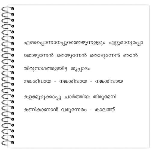 Picture of the product