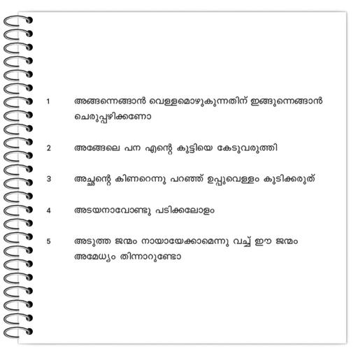 Picture of the product