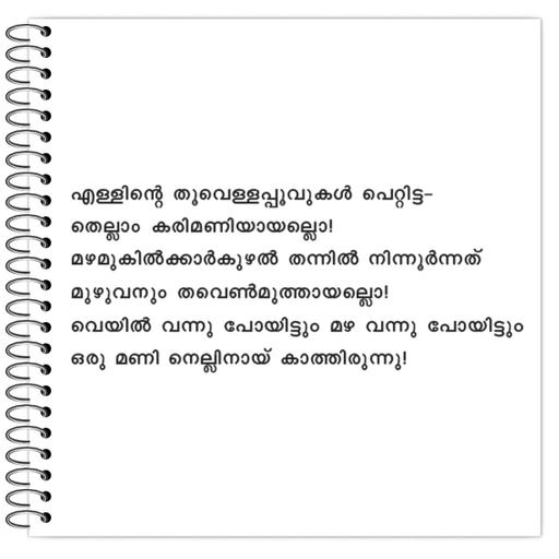 Picture of the product