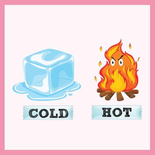 Picture of the product