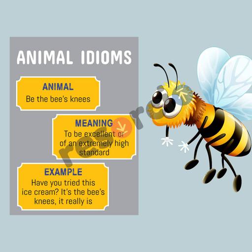 Picture of the product