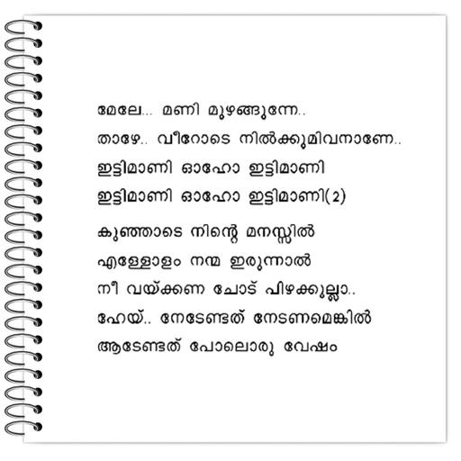 Picture of the product