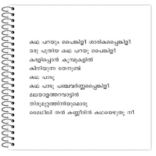 Picture of the product