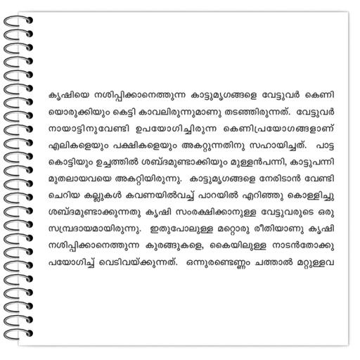 Picture of the product