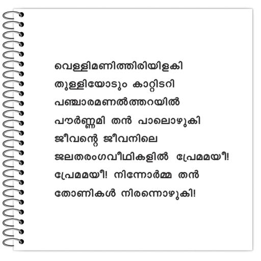 Picture of the product