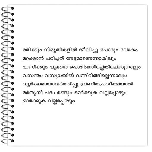 Picture of the product