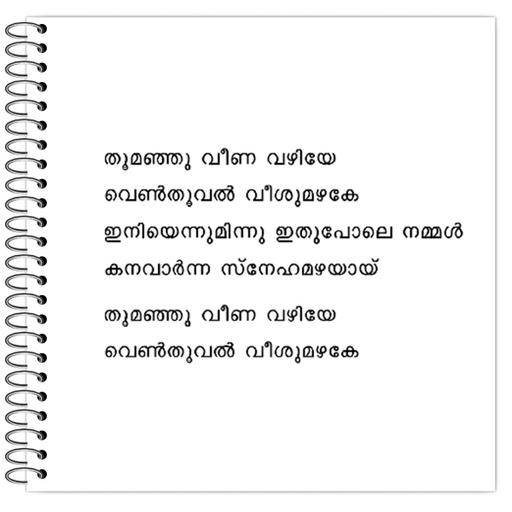 Picture of the product