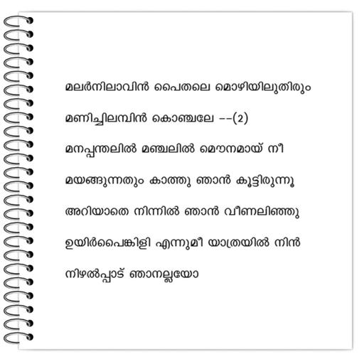 Picture of the product