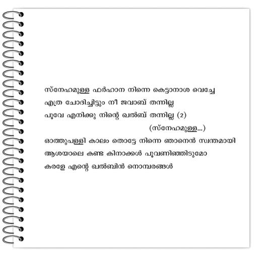 Picture of the product