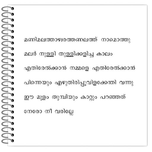 Picture of the product