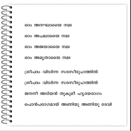 Picture of the product