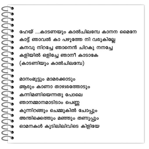 Picture of the product