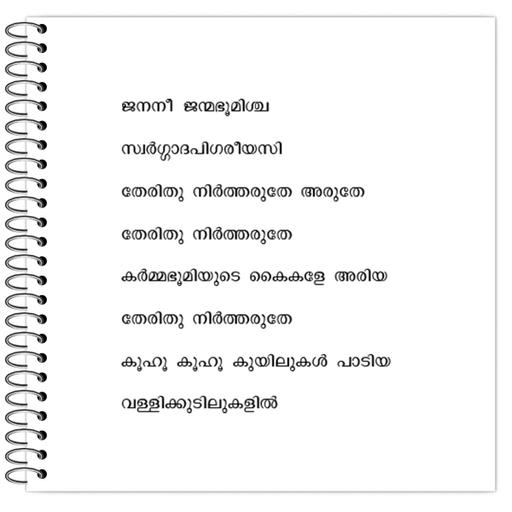 Picture of the product