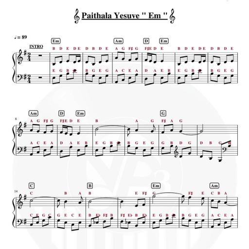 Picture of the product