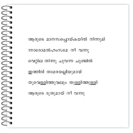 Picture of the product