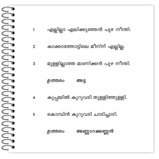 Picture of the product