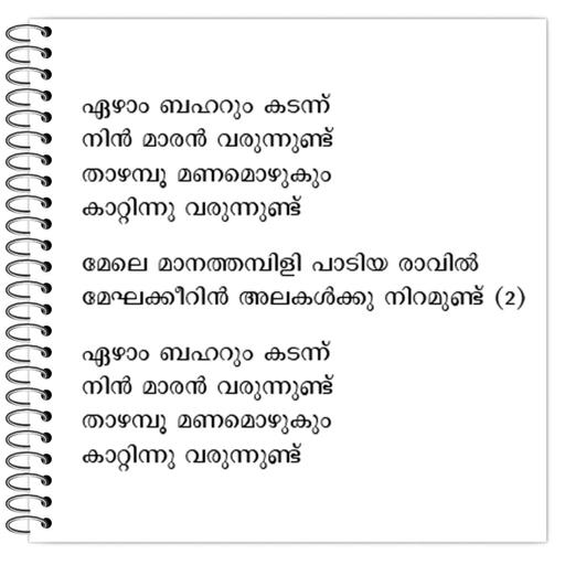 Picture of the product