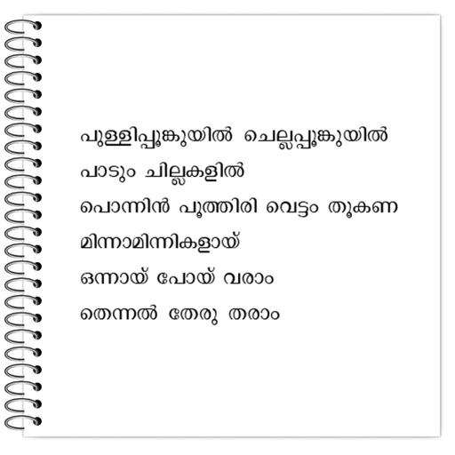 Picture of the product