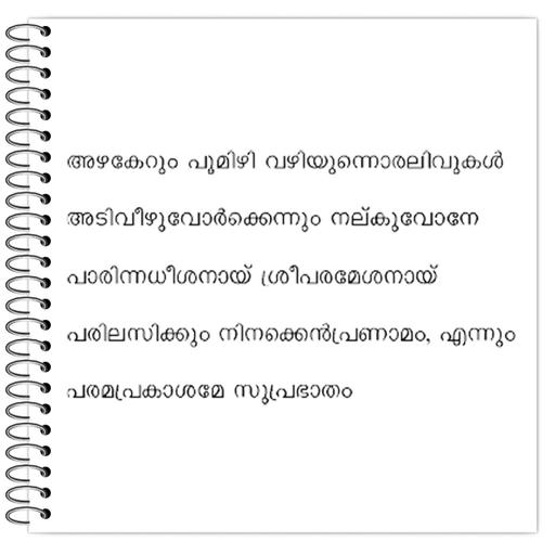 Picture of the product