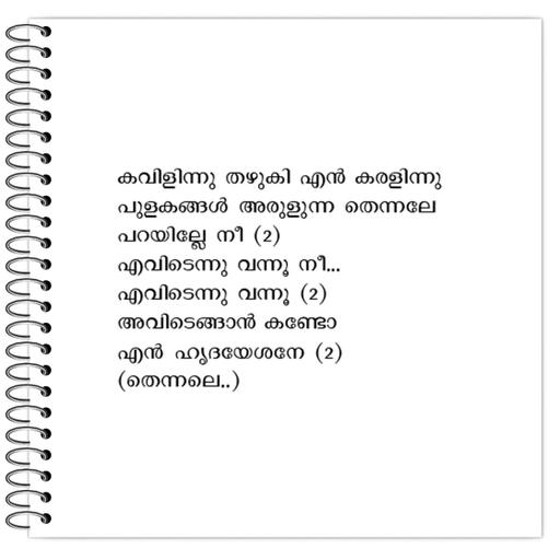 Picture of the product