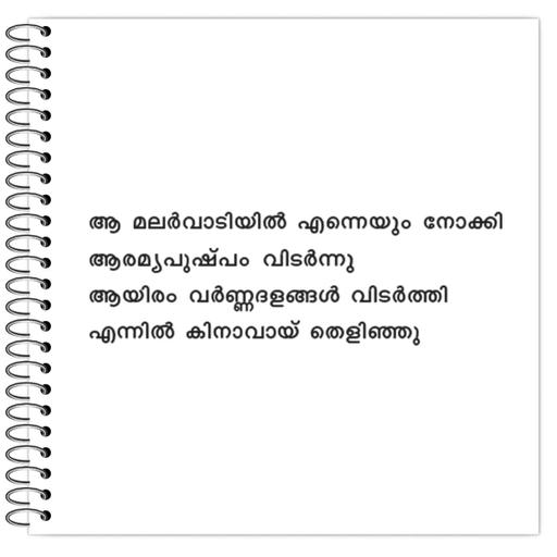 Picture of the product