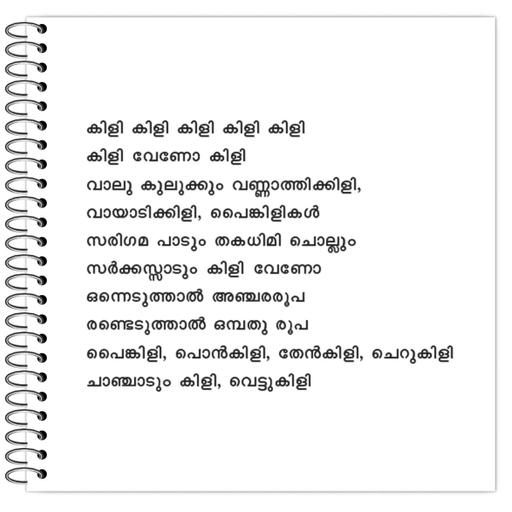 Picture of the product