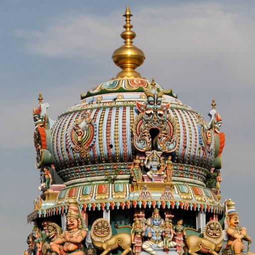 Picture of the product