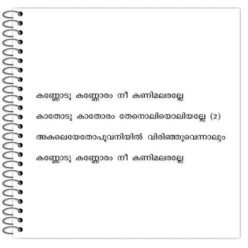 Picture of the product