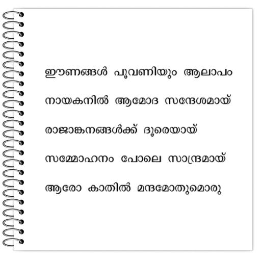 Picture of the product