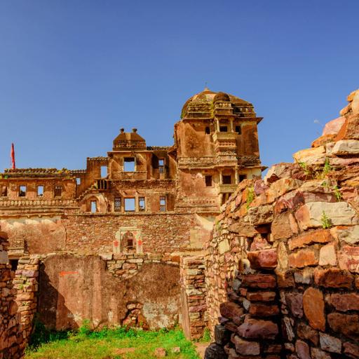 Picture of the product