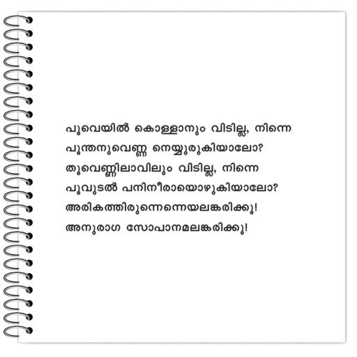 Picture of the product