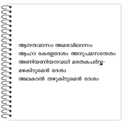 Picture of the product