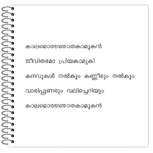 Picture of the product