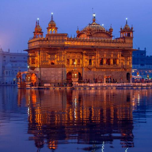 Picture of the product