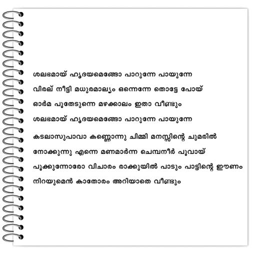 Picture of the product