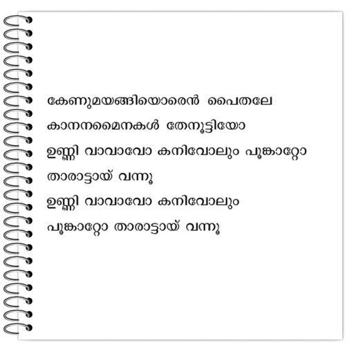 Picture of the product